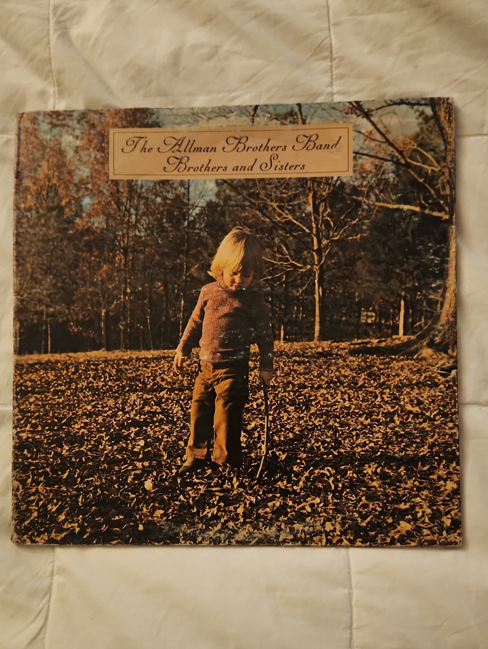 The Allman Brothers Band: Brothers And Sisters Vintage Vinyl - Cover Damage